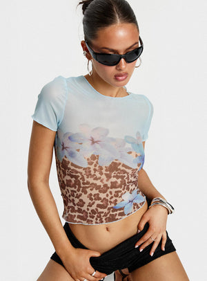 Blue / Leopard